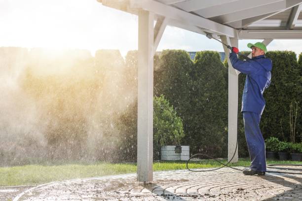 Best Soft Washing for Delicate Surfaces in Patrick Af, FL